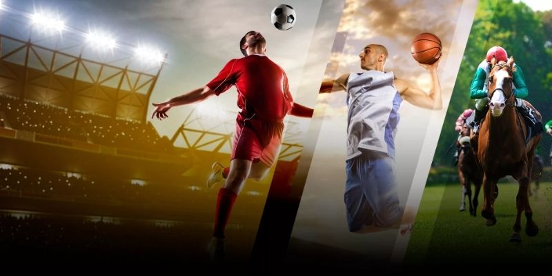 Các hình thức cá cược nổi bật tại môn thể thao số